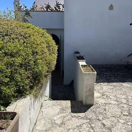 Morena A Pochi Km Da Gallipoli *