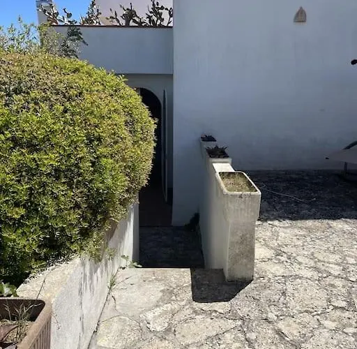 Morena A Pochi Km Da Gallipoli *